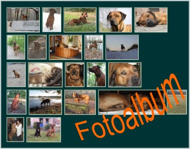 bilder des monats-flash