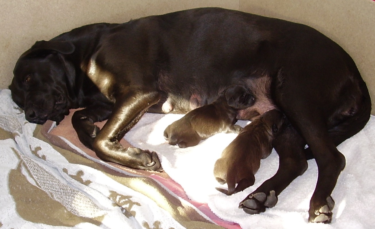 die Erstgeborenen 007a04